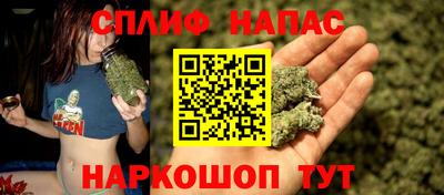 не бодяженный Гатчина