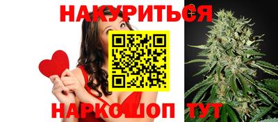не бодяженный Гатчина
