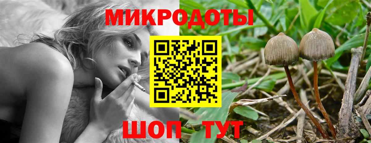 Галлюциногенные грибы Magic Shrooms Волжский