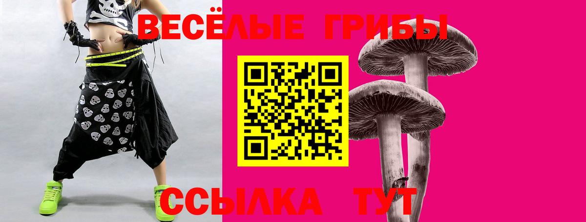 Псилоцибиновые грибы MAGIC MUSHROOMS  Вход с VPN  Волжский 